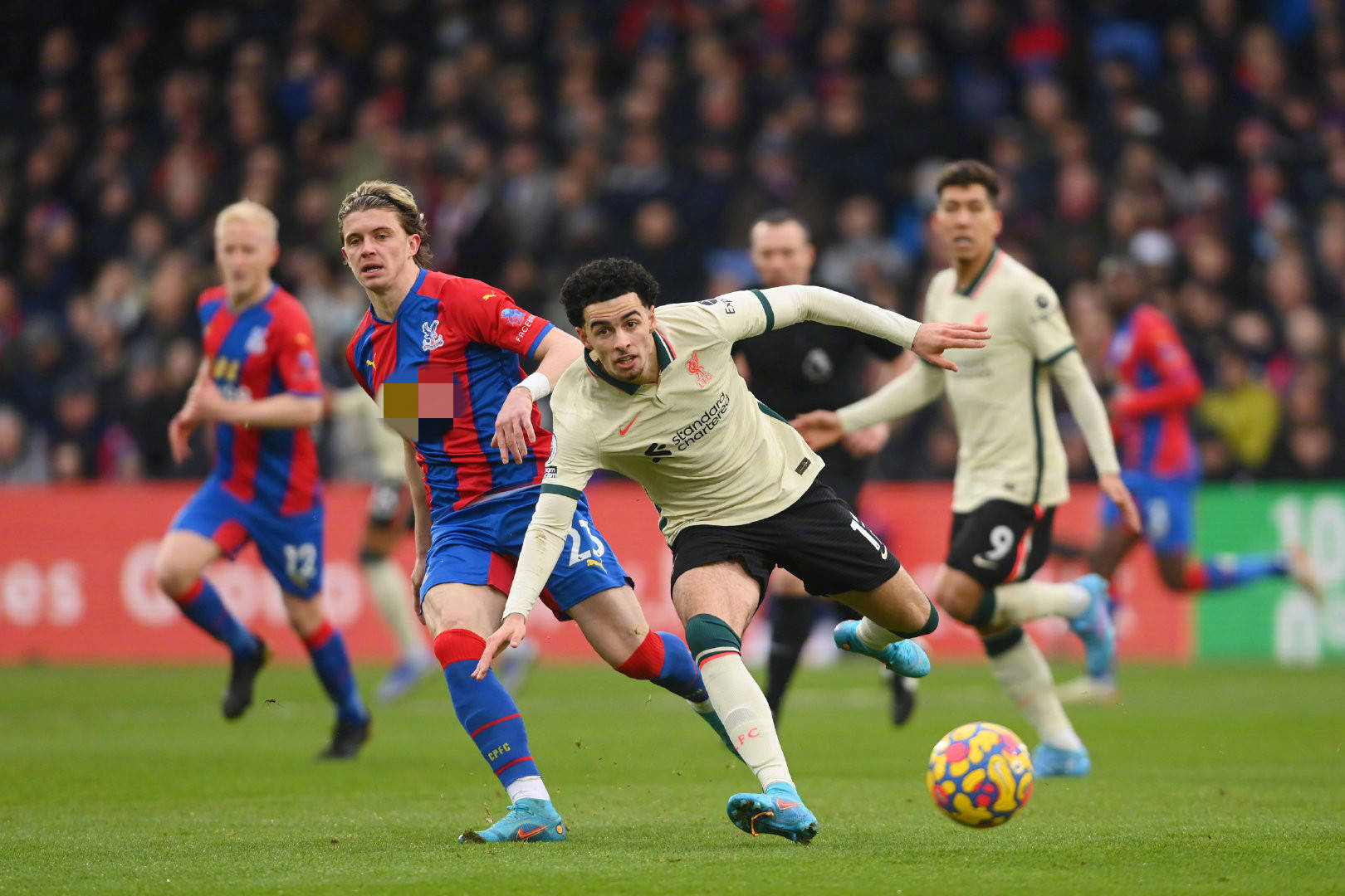 的崛起铺平 的崛起铺平