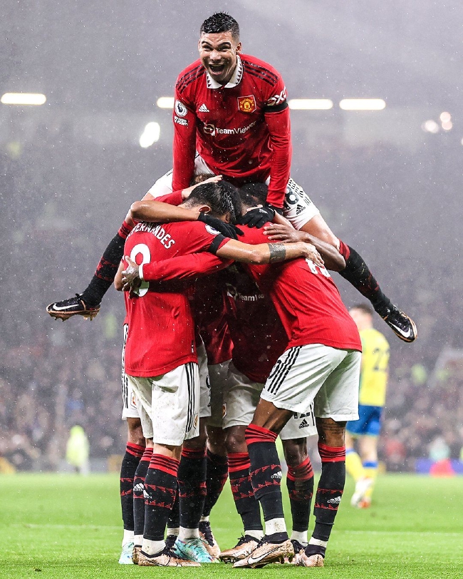 提供多样化 提供多样化